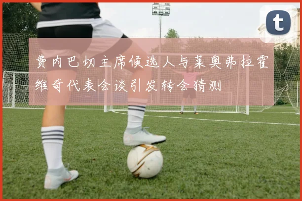 费内巴切主席候选人与莱奥弗拉霍维奇代表会谈引发转会猜测