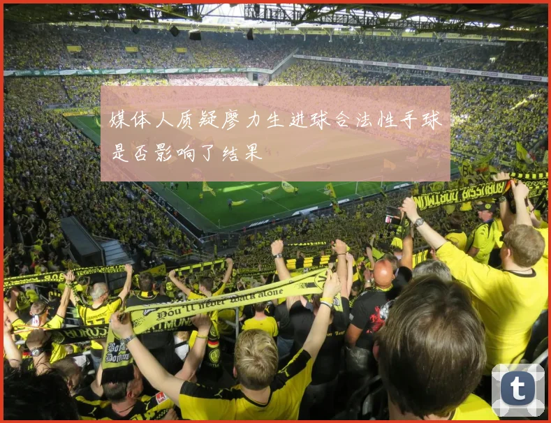 媒体人质疑廖力生进球合法性手球是否影响了结果